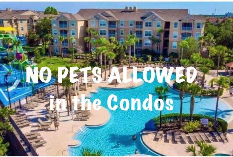 3 bed condos